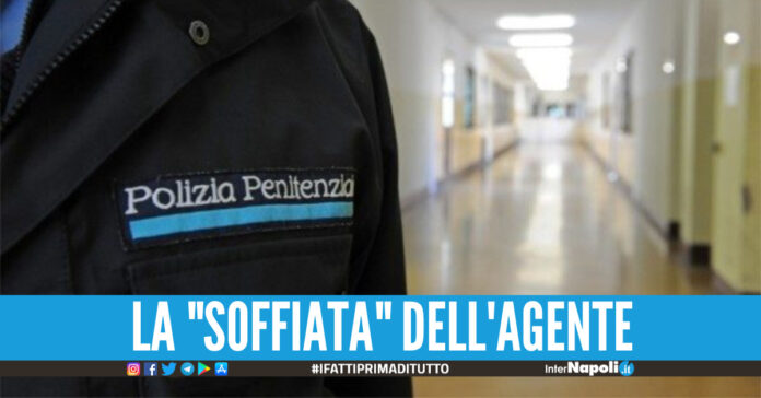 Blitz Agorà