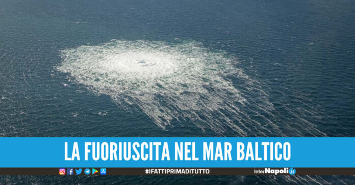 nord stream