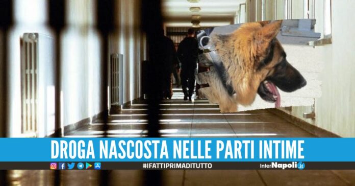 Tenta di portare l'hashish al figlio, scoperta nel carcere campano