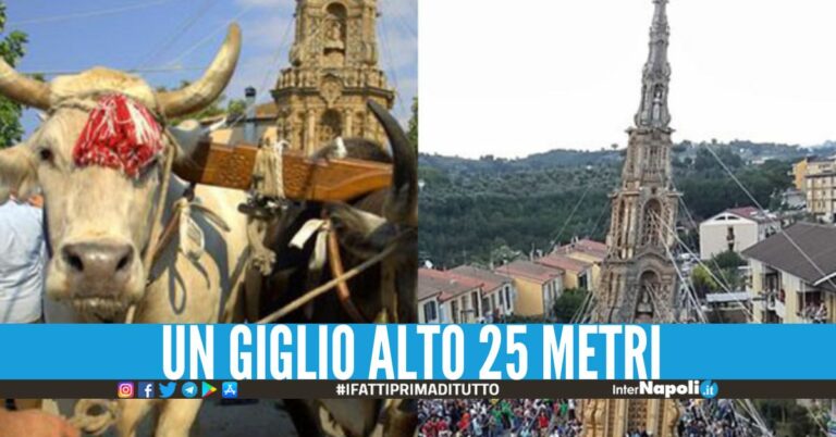 "Buoi costretti a tirare l'obelisco", animalisti contro il sindaco irpino