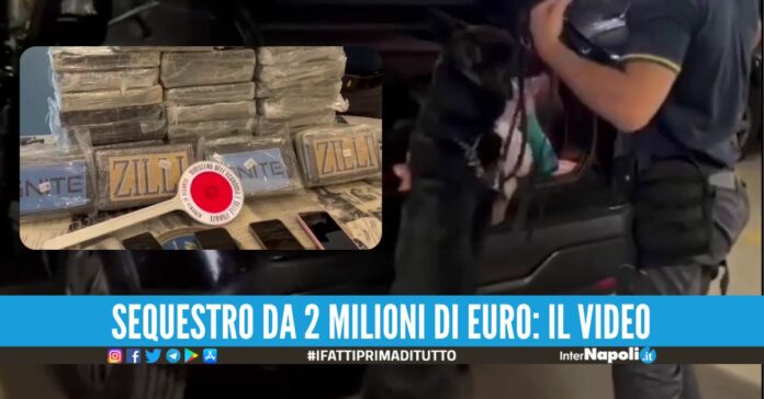 Trasportava 33 kg di cocaina in auto, arrestato giovane corriere