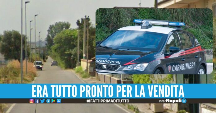 Droga e pistola scacciacani scovate a Varcaturo, 28enne preso dai carabinieri