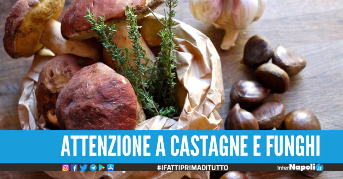 Castagne e funghi velenosi, come riconoscerli ed evitarli