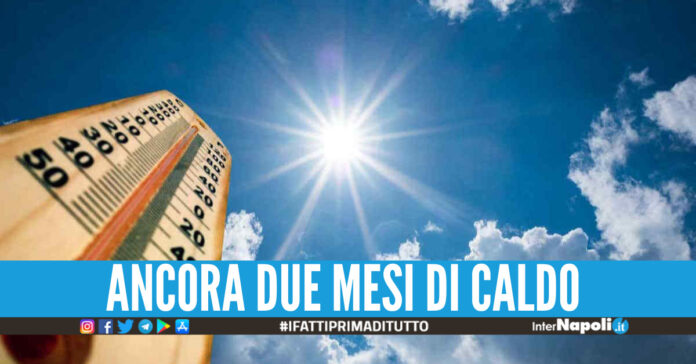 Caldo