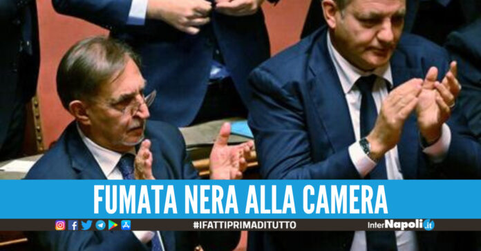 senato