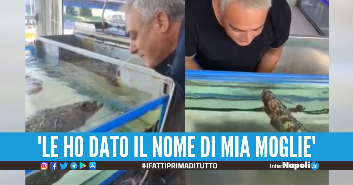'L'uomo che sussurrava alle cernie', la storia del pescatore napoletano ...