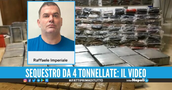 Colpo ai narcos della cocaina, nuovo arresto per Raffaele Imperiale