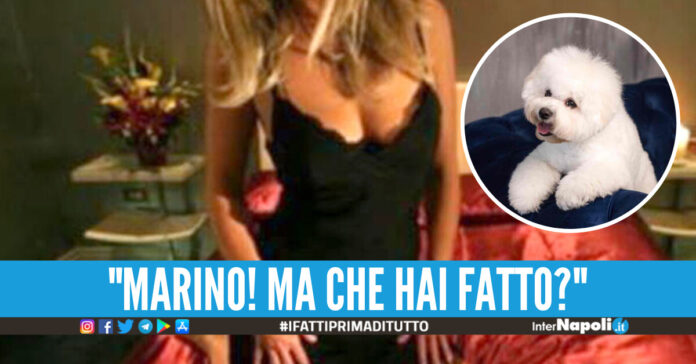 Foto di repertorio