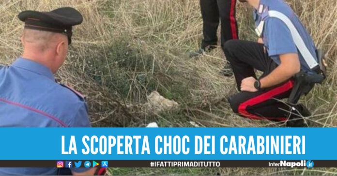 Neonato abbandonato in un sacchetto di plastica, salvo per miracolo