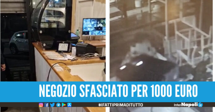 Raid nel locale La Capannina del Gragnanese a Volla, lo sfogo del titolare E' assurdo