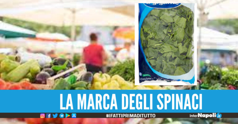 “Spinaci Il Gigante”