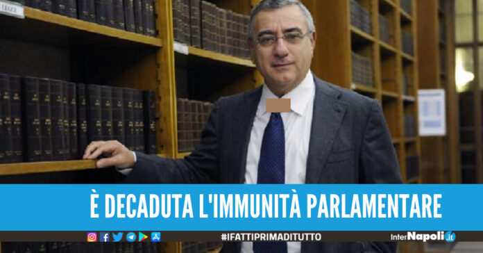all’immunità parlamentare