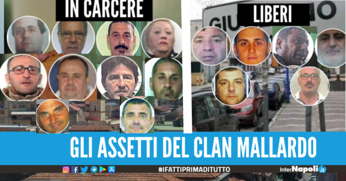 clan mallardo