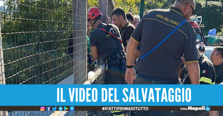 Napoli, il video del salvataggio dell’aspirante suicida: braccato dai pompieri prima di lanciarsi