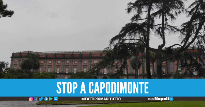 Capodimonte