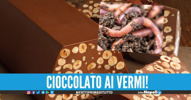 Cioccolatini con larve di insetti, i prodotti ritirati dai supermercati Allarme per la salute