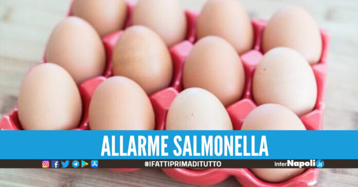 Uova fresche contaminate, il Ministero della Salute indice il ritiro