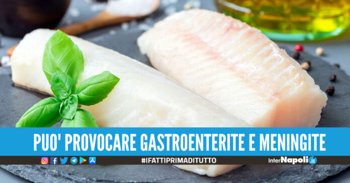 Merluzzo contaminato