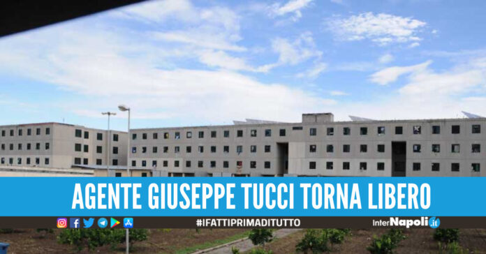Tucci torna libero