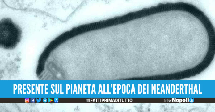 Virus permafrost siberiano