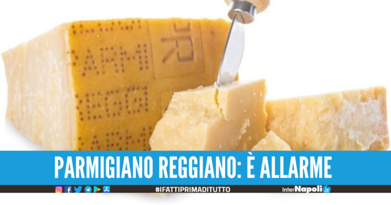 Lotto di Parmigiano Reggiano ritirato dal mercato, allerta del ministero della Salute