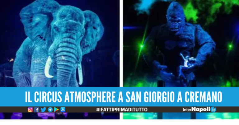 Arriva in provincia di Napoli il circo con gli animali virtuali: tigri, giraffe ed elefanti sono ologrammi