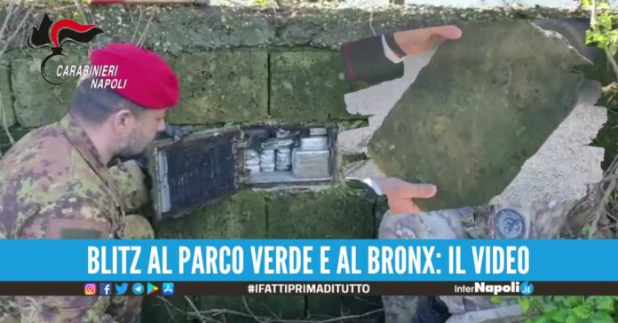 Usano il muschio per nascondere droga e proiettili, scoperto il 'trucco' a Caivano