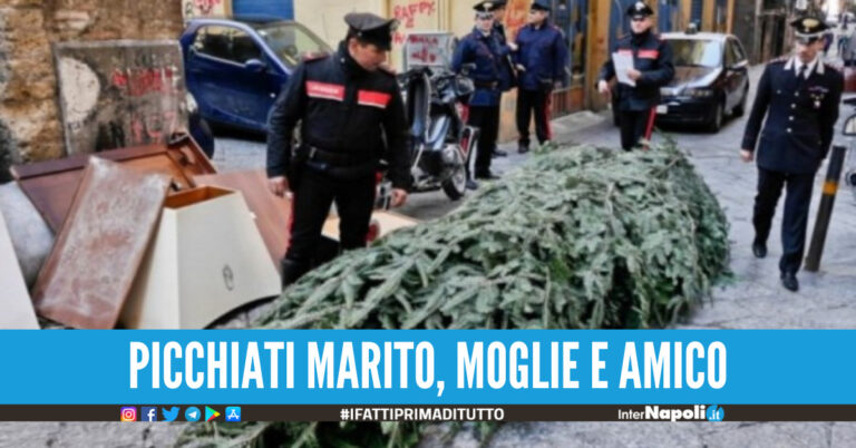Napoli, il furto di un albero di Natale nel negozio di fiori finisce nel sangue 7 ragazzini nei guai