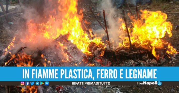 Rogo tossico, foto di repertorio