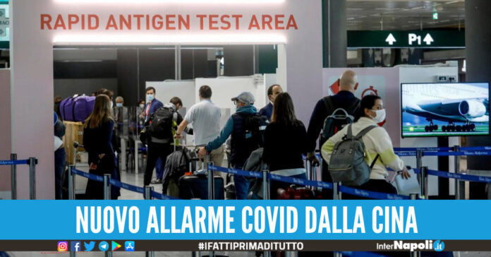 malpensa fiumicino covid