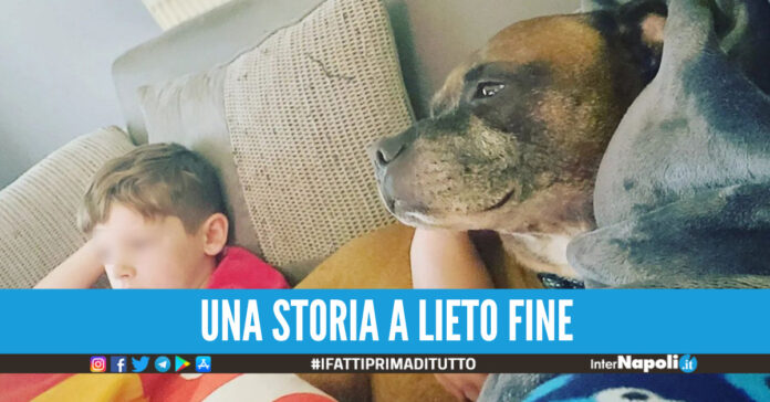 cane sta male regalo di Natale