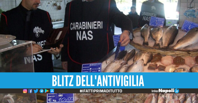 pescheria Napoli blatte