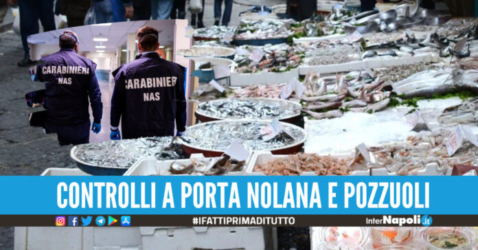 controlli nas pescherie napoli