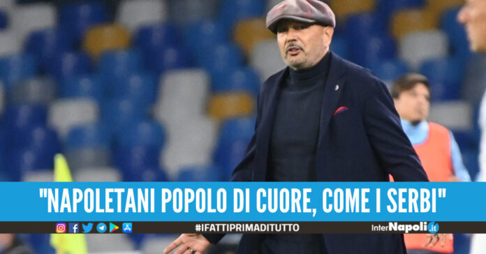 mihajlovic napoli