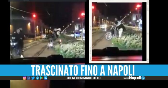 Rubano un albero di Natale a Casoria e si riprendono nel video