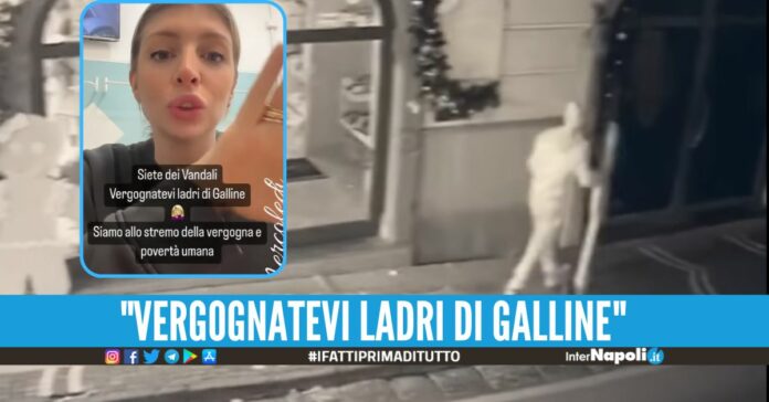La titolare di Borotalco ha denunciato il furto di alcuni addobbi di Natale installati all'esterno del suo negozio in via Domenico Di Somma
