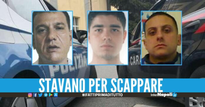 Il gip di Napoli ha convalidato i fermi emessi dalla Dda partenopea nei giorni scorsi a carico di Michele Mazzarella, suo cugino Ciro Mazzarella