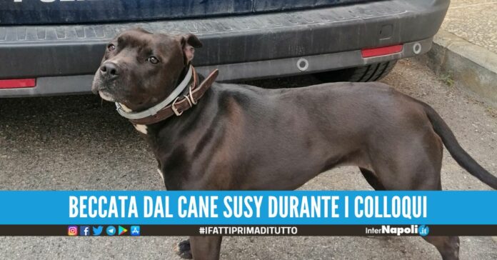 Mamma tenta di consegnare la droga al figlio nel carcere di Santa Maria C.V