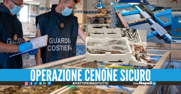 Sequestrati 4 tonnellate di frutti di mare e pesce in Campania, multe da 400mila euro