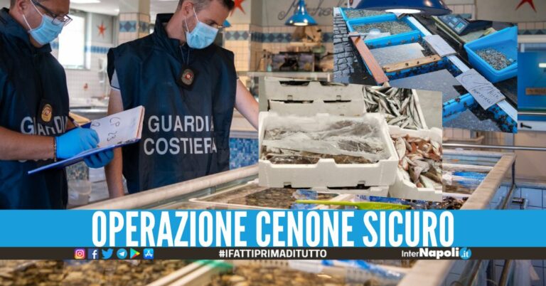 Sequestrate 4 tonnellate di frutti di mare e pesce in Campania, multe da 400mila euro