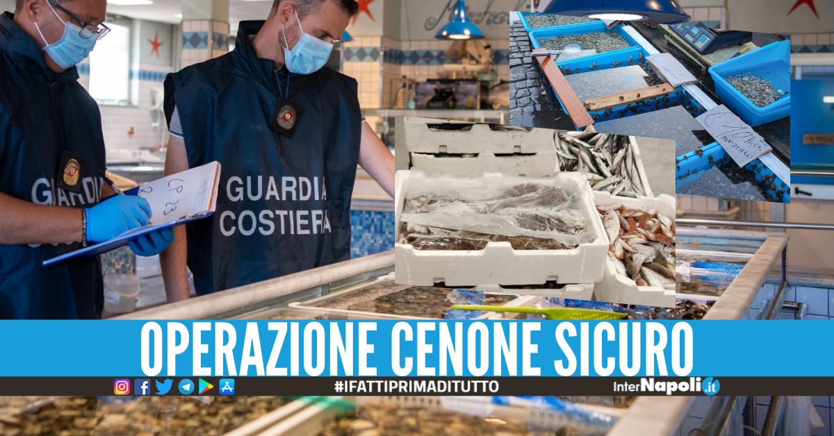 Sequestrati 4 tonnellate di frutti di mare e pesce in Campania, multe da 400mila euro