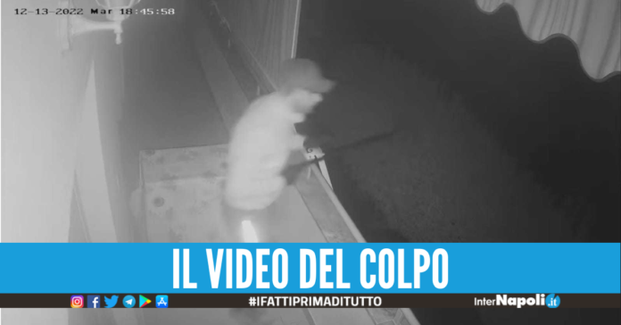 Ladro