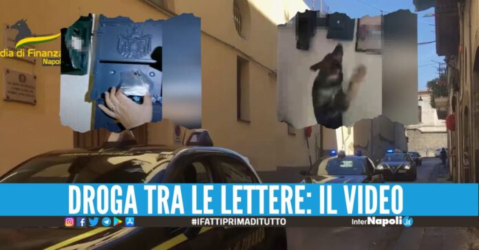 Blitz nella roccaforte della camorra, trovate pistola e droga castellammare video