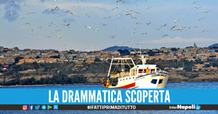 cadavere ritrovato procida
