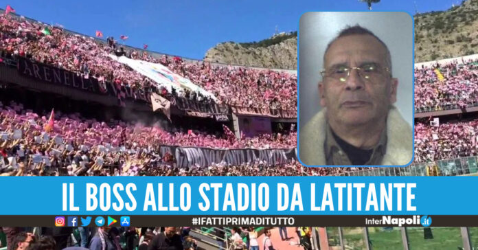 messina denaro cavani miccoli