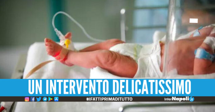 neonato