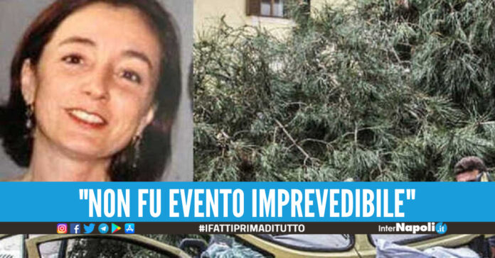 cristina alongi risarcimento
