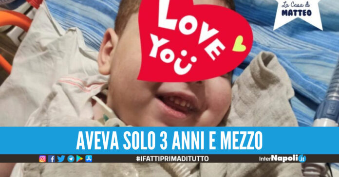 Simba la casa di matteo