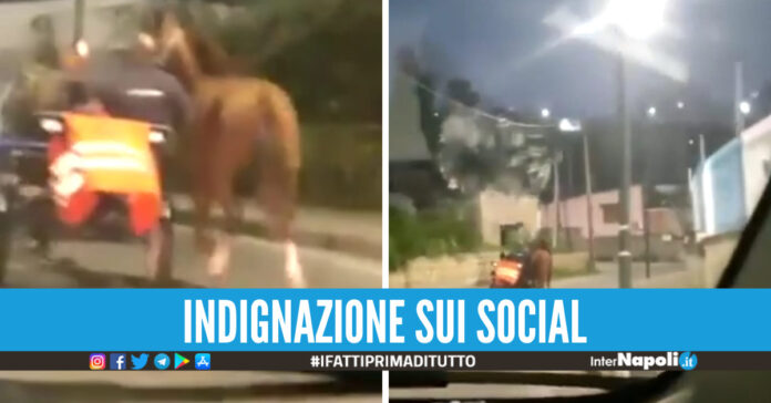 cavalli scooter napoli