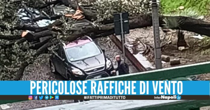 Danni maltempo Napoli